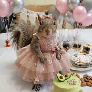 Happy 1rst BIRTHDAY !! We Love You Chloe